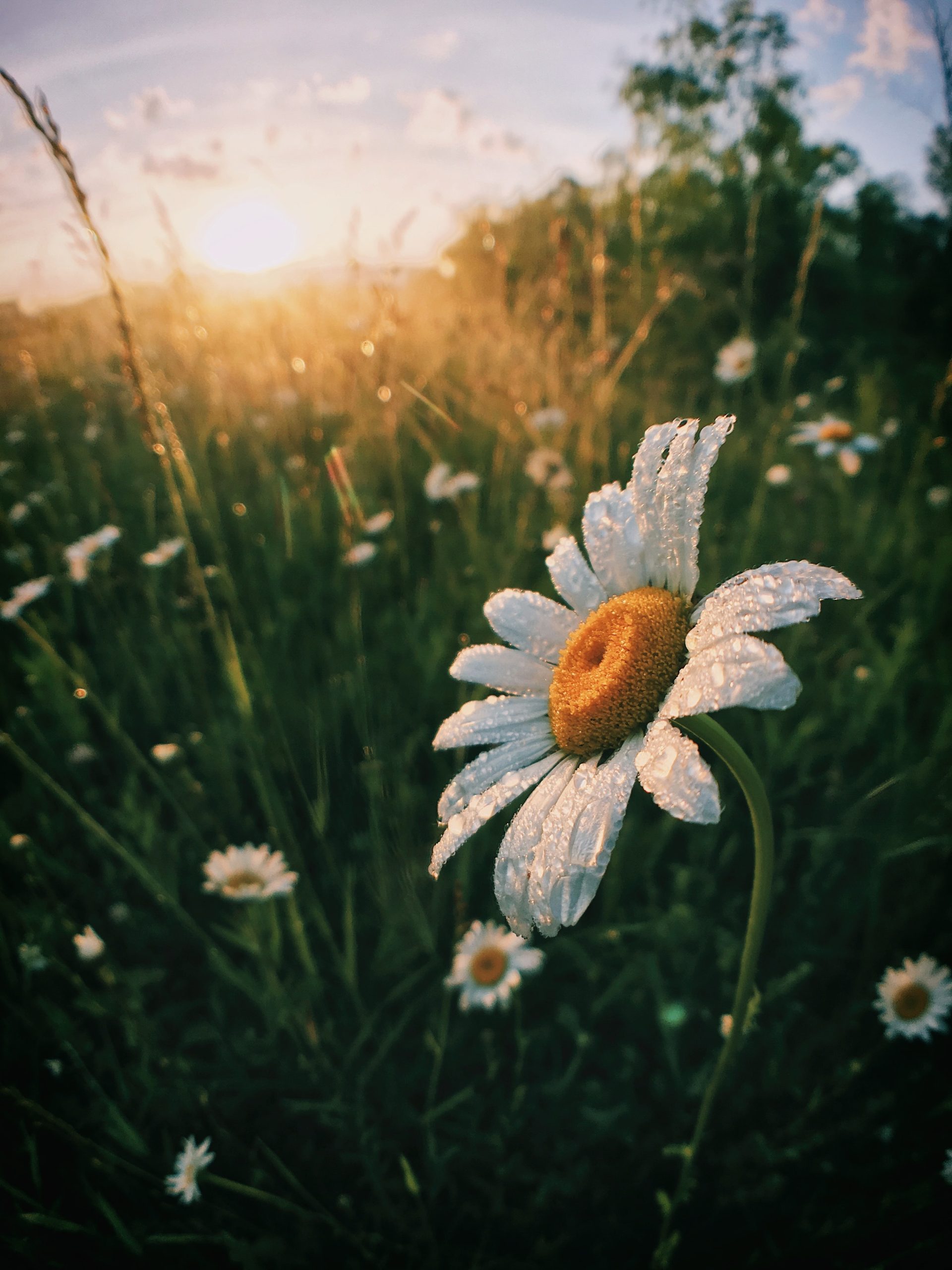 aaron-burden-nJ2YCCnVp6k-unsplash Photo by Aaron Burden on Unsplash